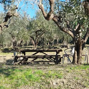 Agriturismo Cele Séjour à la ferme Celle Ligure