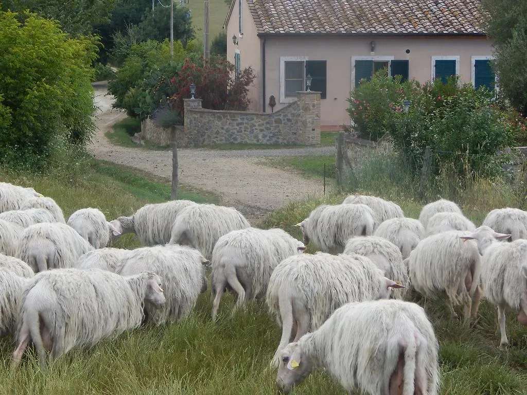 Farm stay Piane Del Bagno Villa Saturnia Italy
