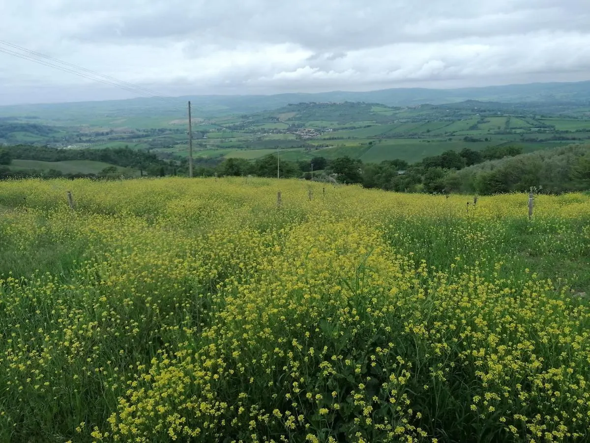 Piane Del Bagno Villa Saturnia Farm stay