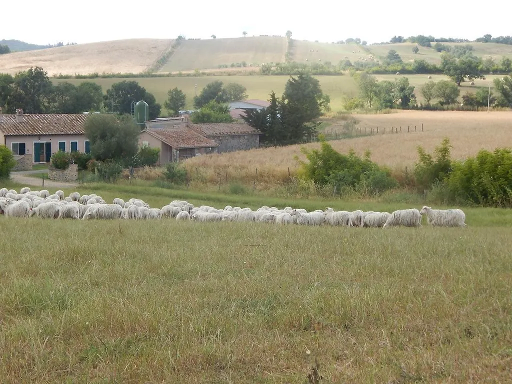 Piane Del Bagno Villa Saturnia Farm stay